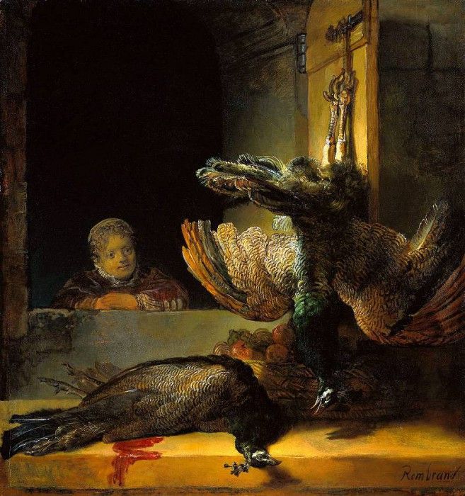 Rijn van Rembrandt Dead peacocks Sun. ,  
