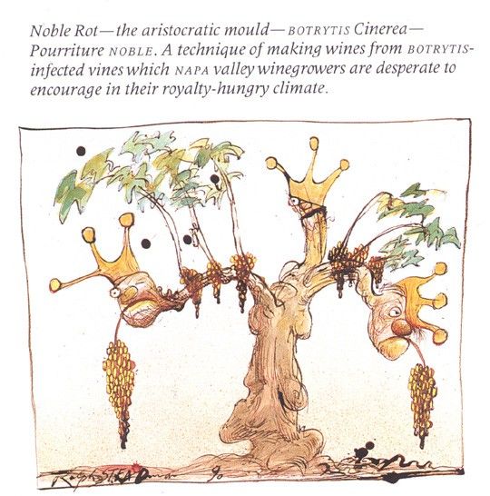 bs GOR 89 Noble Rot. , 
