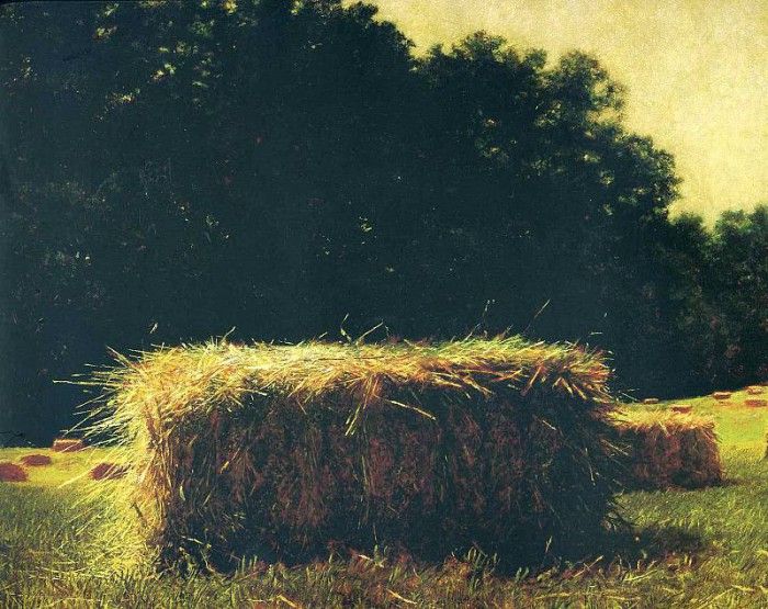 File8961. Wyeth, ������