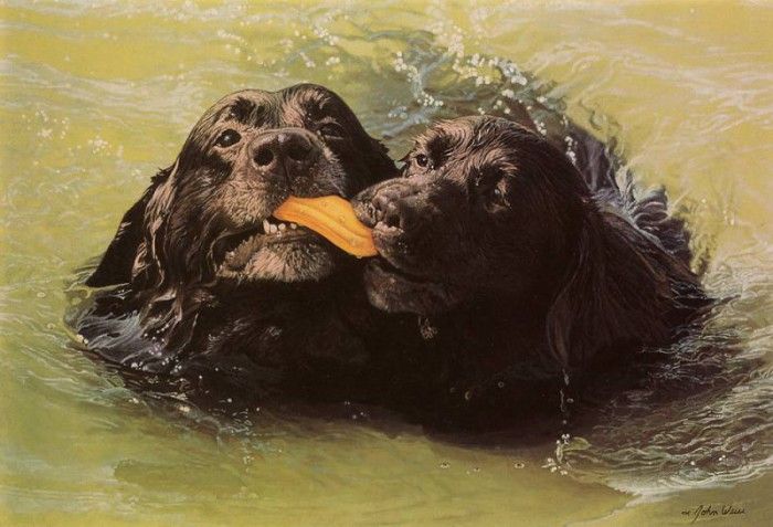 kb Weiss John-Retrievers. , 