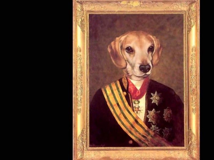 dog portraits csg059 baron lutz von wag. , 