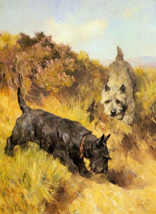 Wardle Arthur Two Scotties In A Landscape. , 