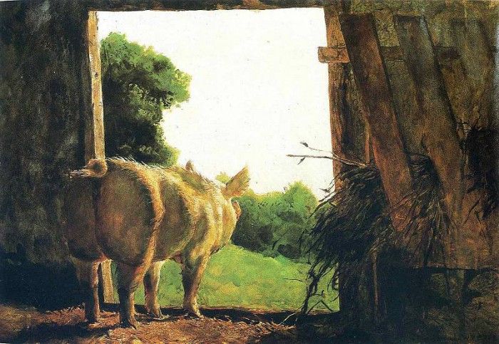 File8966. Wyeth, 