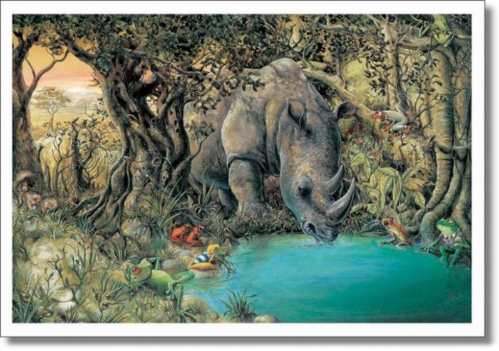 43704. ����, ����