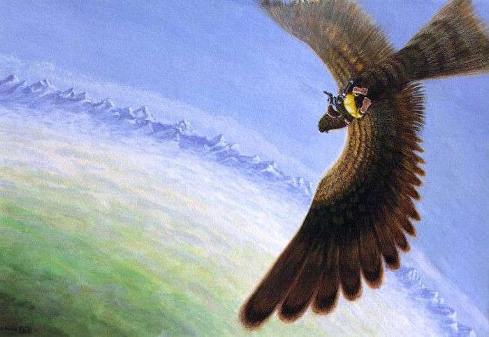 grrp 01-Bilbo Flies on Eagles Wings. Renshof,   Ploeg, 