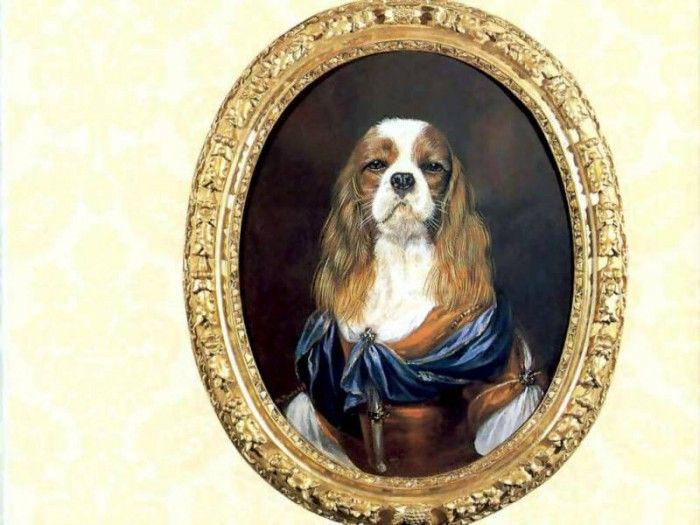 dog portraits csg022 countess eugenie. , 