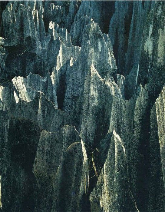 art 740. , 