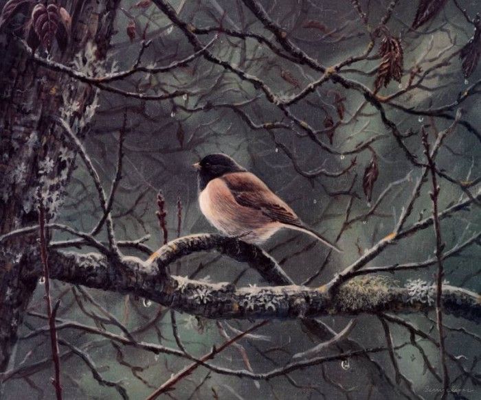 Terry Isaac - Rainy Day Juncos, De. , 