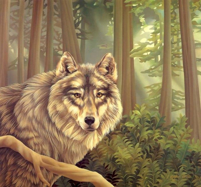 s4-vanishingspecies027-graywolf. , L