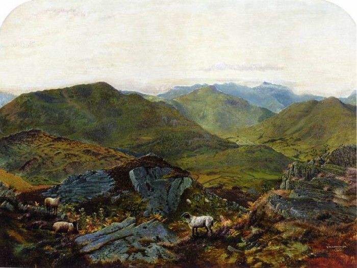 Landscape in the Lake District.   