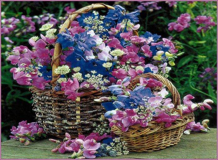 pa SimonKayne BeautifulFlorals 03. Kayne, 