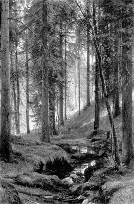 Shishkin Ivan Stream by a Forest Slope. ,  