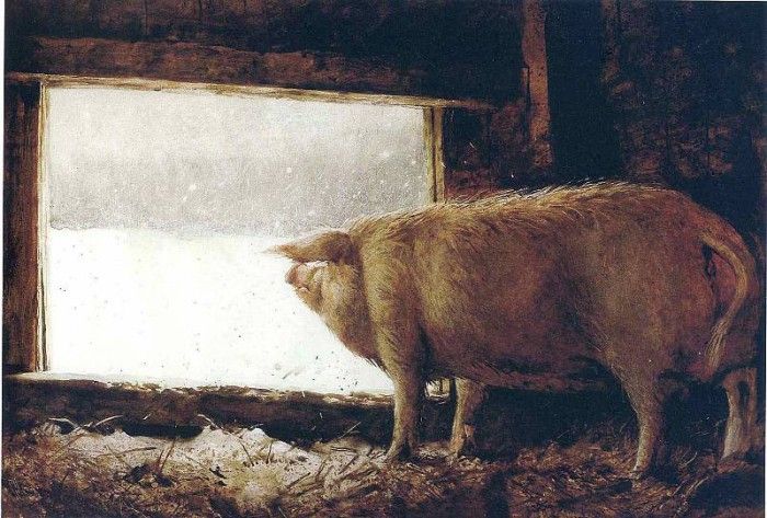 File8965. Wyeth, 