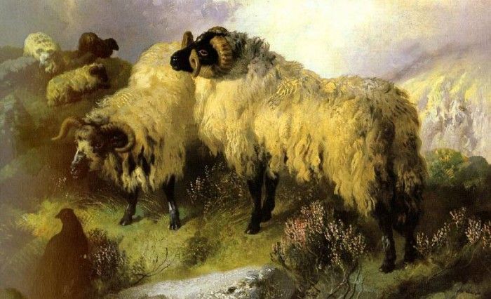 Horlor George W. Highland Scene With Sheep And Grouse. Horlor,  