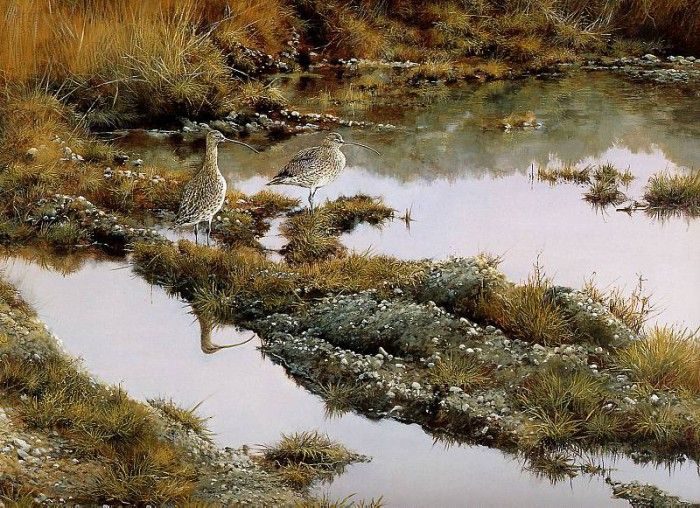 Verstappen Pieter Nature 55 Sun. Verstappen, �����