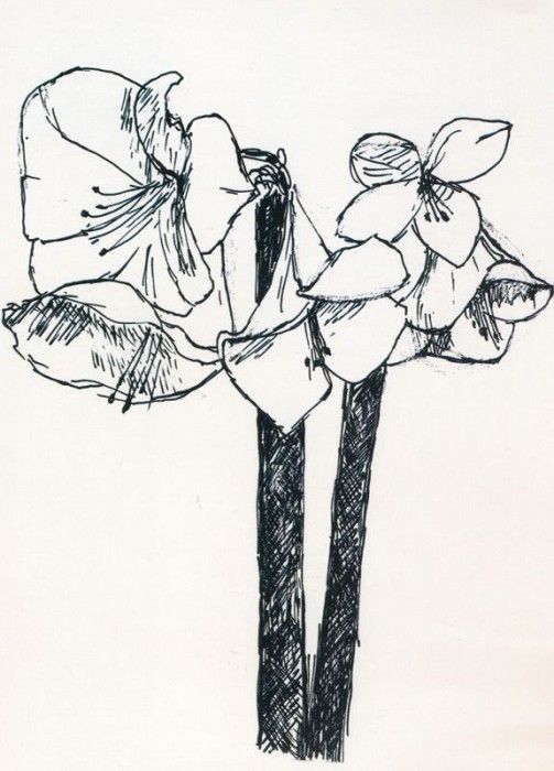 44035. Cathelin 