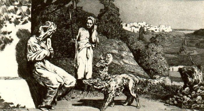 18294. �������, ����