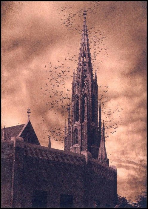 lrsSPEC11-329-ColeJamesS-ChapelattheDawn. ,  .