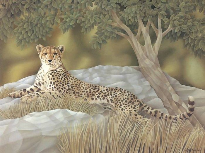 s4-vanishingspecies002-cheetah. , L