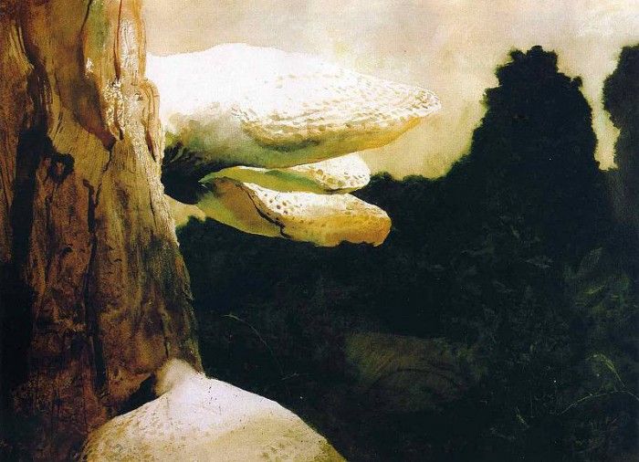 File8978. Wyeth, 