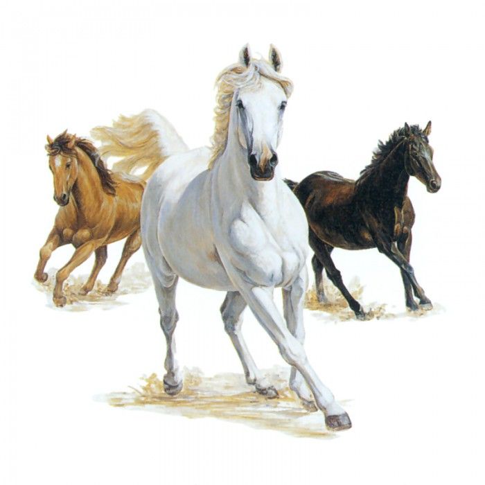 kb Bragg CL Three Horses. ,  