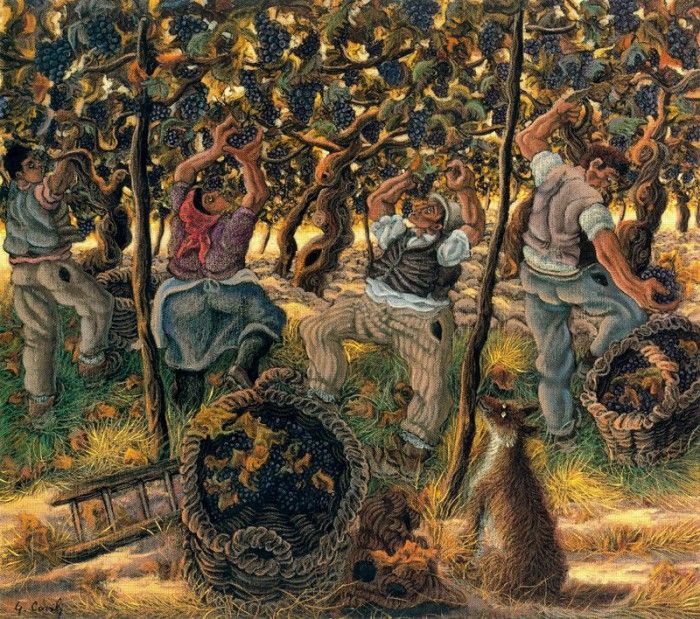 33954. Covili, �����