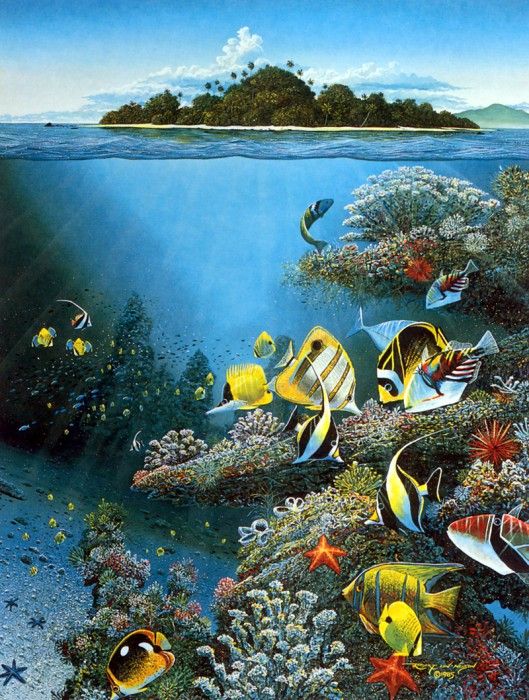 kb RLN Undersea Song. ,  