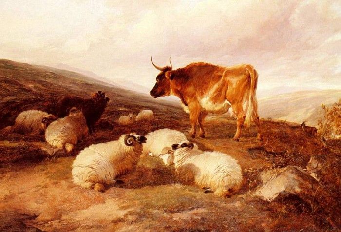 Cooper Thomas Sidney Rams And A Bull In A Highland Landscape.   