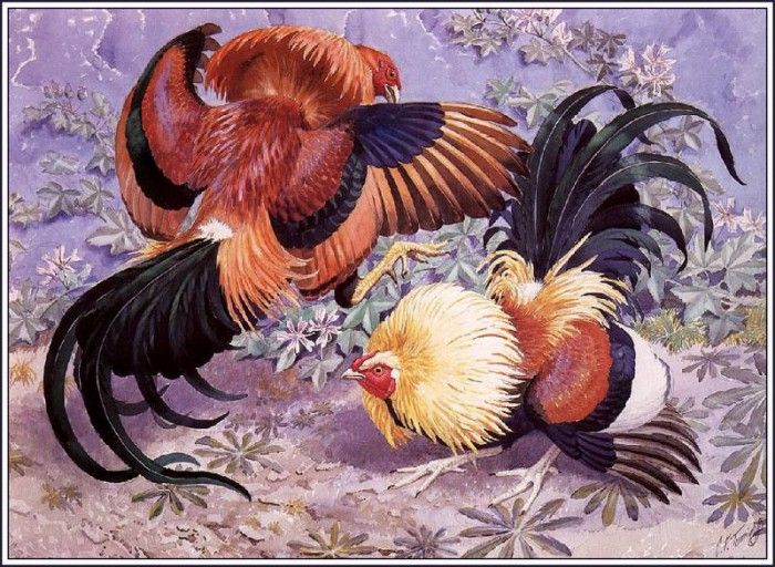 43649. Tunnicliffe, 