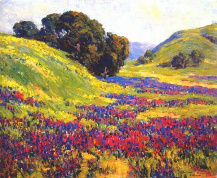 brown valley of lupine. 