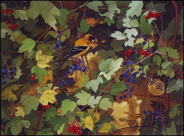 lrsPetersonDouglas-Berries&Goldfinches. , 
