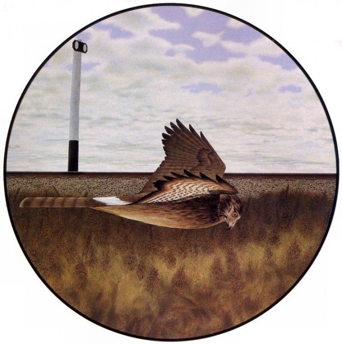 Alex Colville - Sign and Harrier, De. �������, �����