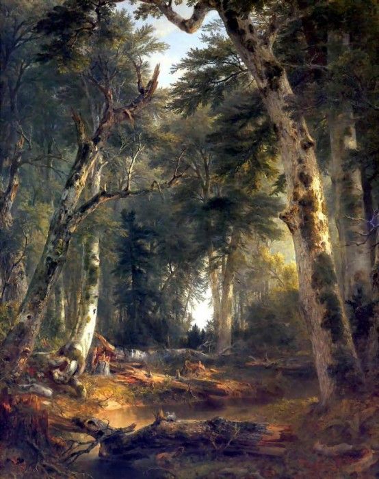 hudson rv sc csg010 in the woods-asher brown durand 1855. ,  