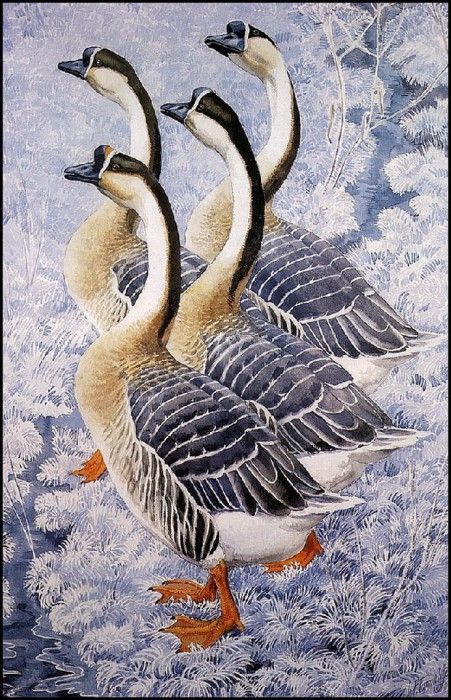 43624. Tunnicliffe, 