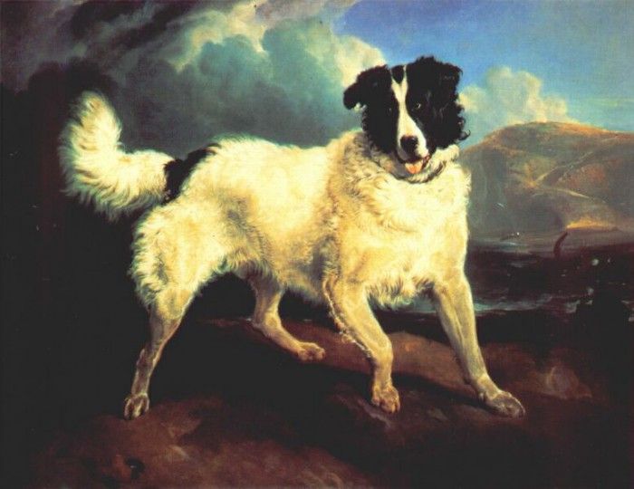 landseer portrait of neptune 1824.   