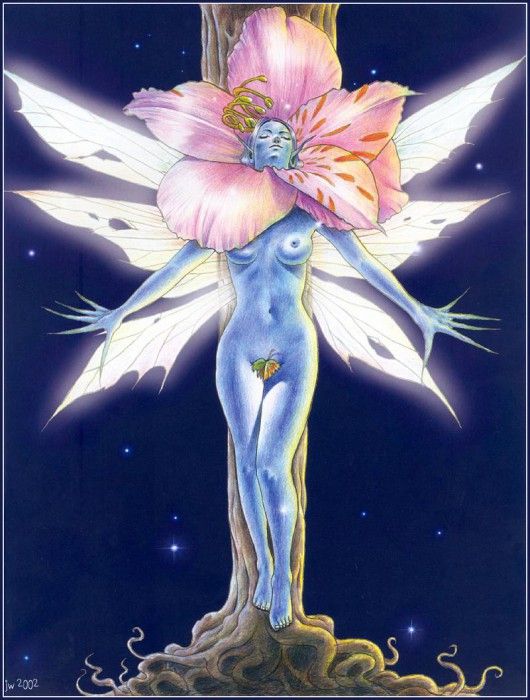 lrsAOF104WilliamMariaJ-Dawn. , Mary J