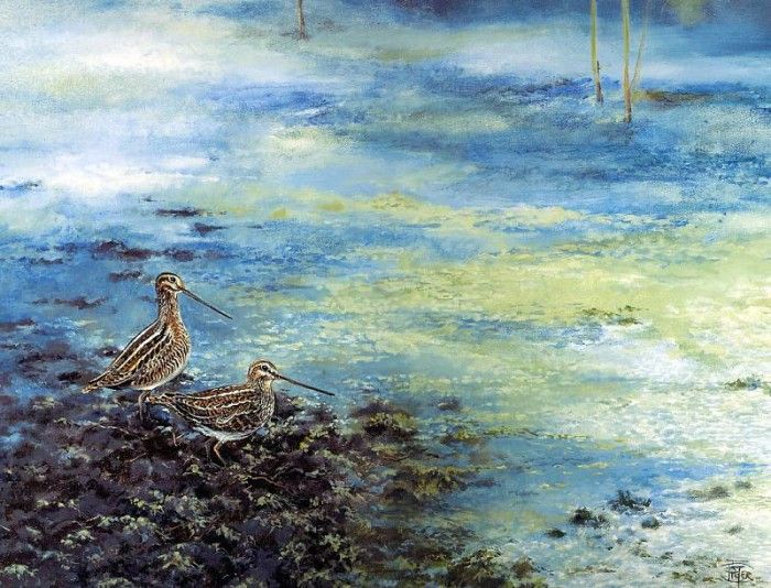 Verstappen Pieter Nature 46 Sun. Verstappen, �����