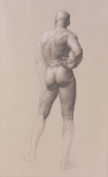 Male Figure drawing. , 