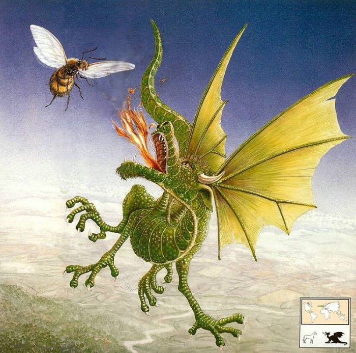 b GraemeBase EmeraldDragon Immature. ���� ����