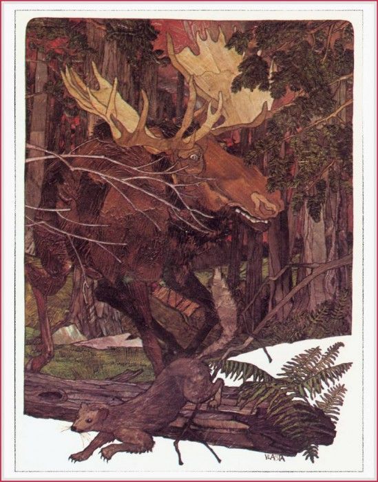 vanKampenVlasta Fire!-We. ������, ������ ���