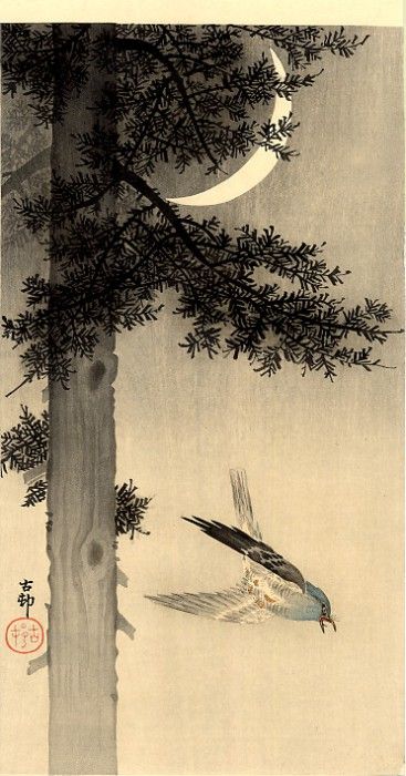 pic02240. �����