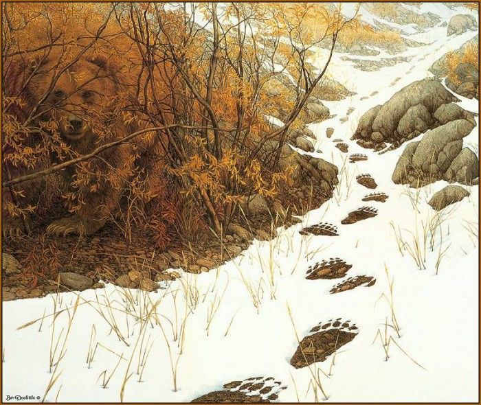 lrsDoolittleBev DoubledBack. �������, ���