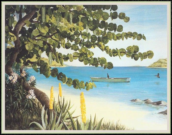 WoodWilliam 02 PelicanBeach-We. , 