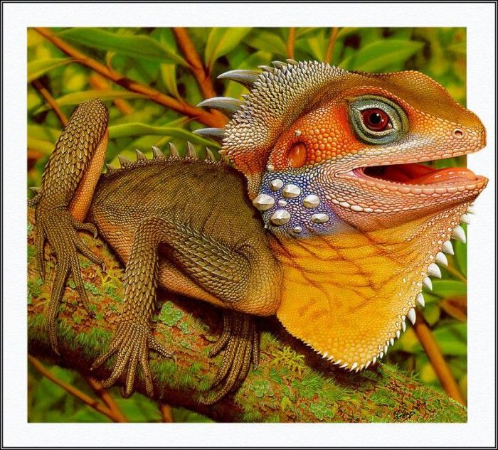 pa AusGeoArt 2003 16 KevinStead BoydsForestDragon. Guiotto, 