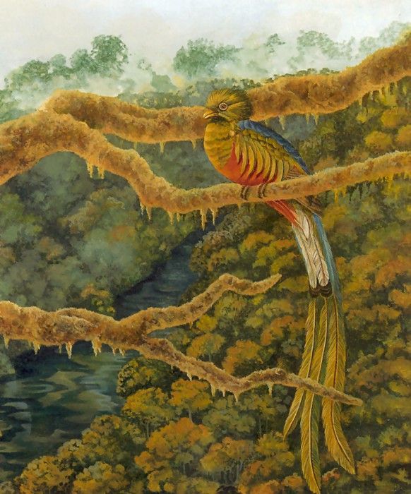 s4-vanishingspecies016-resplendentquetzal. , L