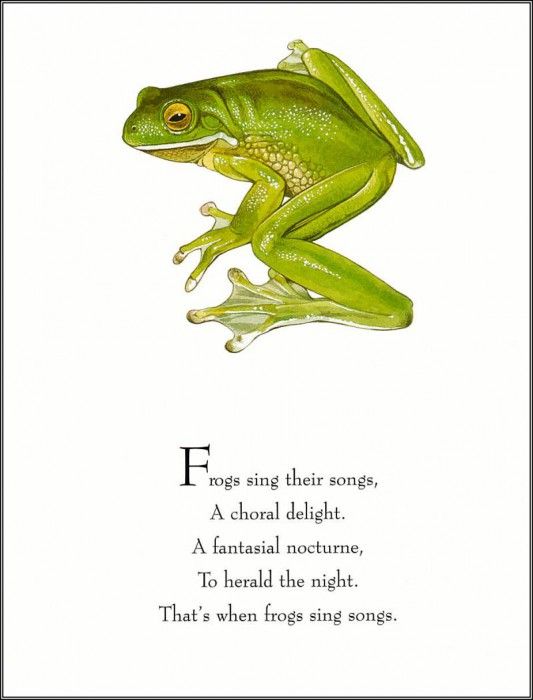 pa TonyOliver FrogsSingSongs 07a. , 