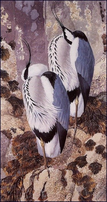 43607. Tunnicliffe, 