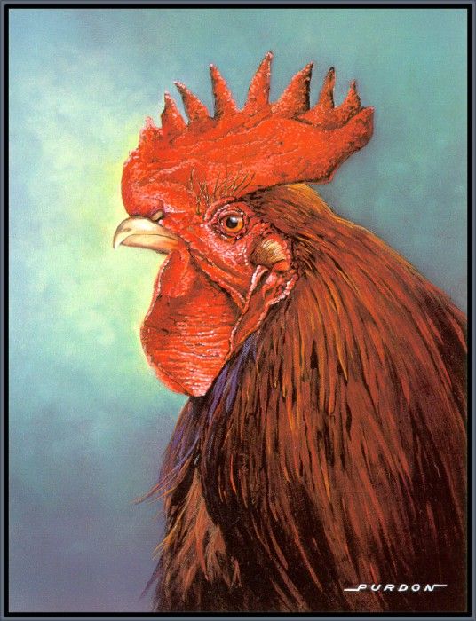 PurdonDouglas-OldAngus-sj. Purdon, 