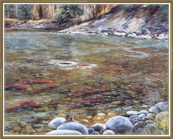 KissAndrew-A Mountain Alphabet-Salmon-WeaISC. , 