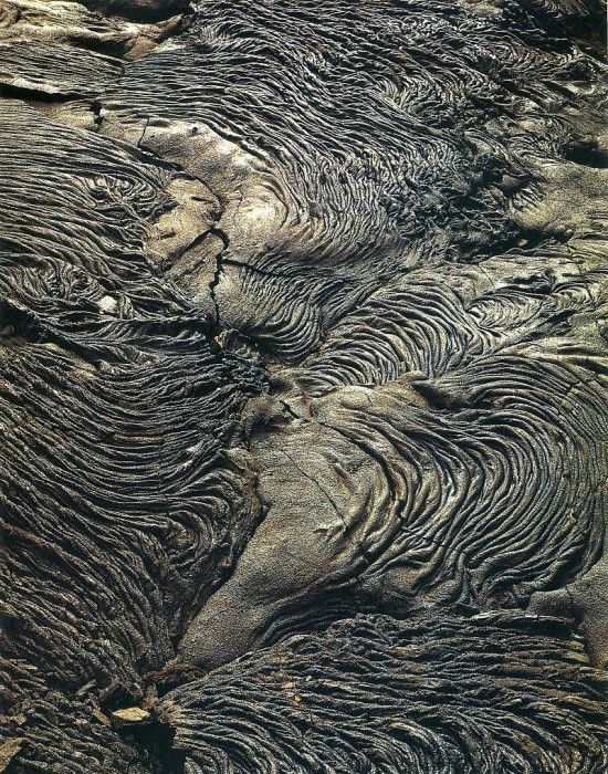 art 675. ������, �����